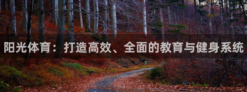 必一体育app下载最新版本：阳光体育：打造高效、全面的教育与