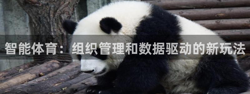 必一体育官方app下