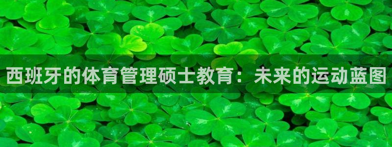 必一体育下载app：西班牙的体育管理硕士教育：未来的运动蓝图