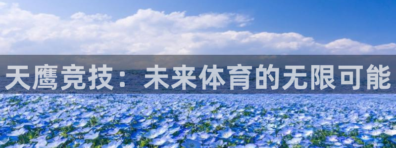 必一体育下载意思：天鹰竞技：未来体育的无限可能