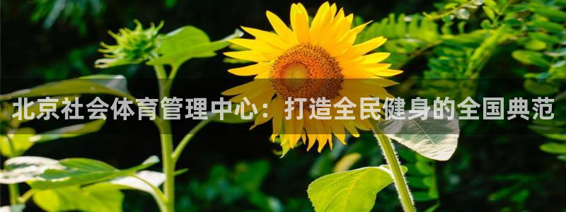 必一体育运动app下载：北京社会体育管理中心：打造全民健身的