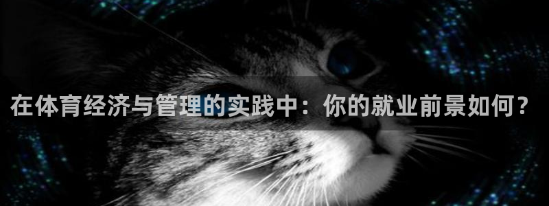必一体育合法吗：在体育经济与管理的实践中：你的就业前景如何？