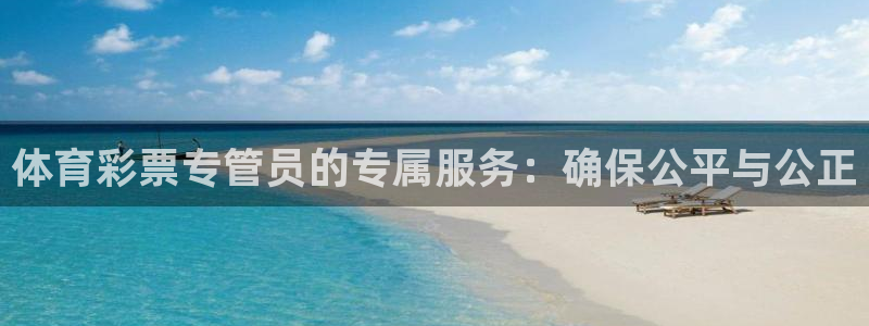 必一体育手机下载：体育彩票专管员的专属服务：确保公平与公正
