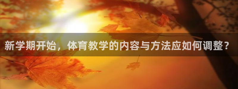 必一体育网页登录版官