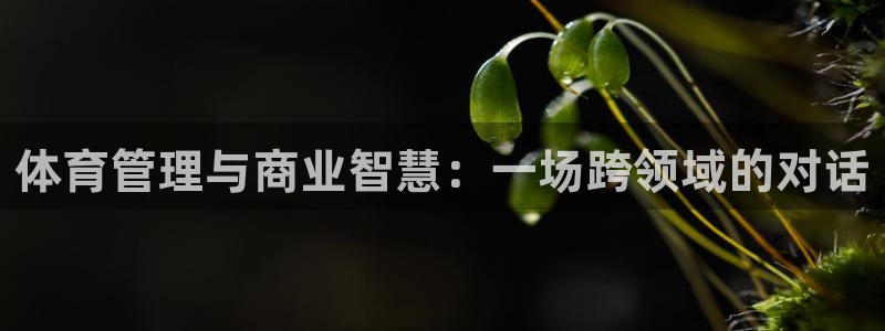 必一体育手机下载：体