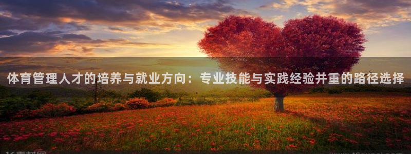 必一体育下载入口：体育管理人才的培养与就业方向：专业技能与实