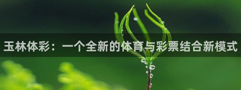 必一体育官网ios下