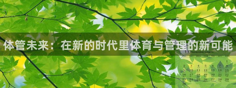 必一体育运动平台官网：体管未来：在新的时代里体育与管理的新可