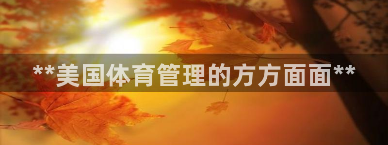 必一体育app官方正版下载