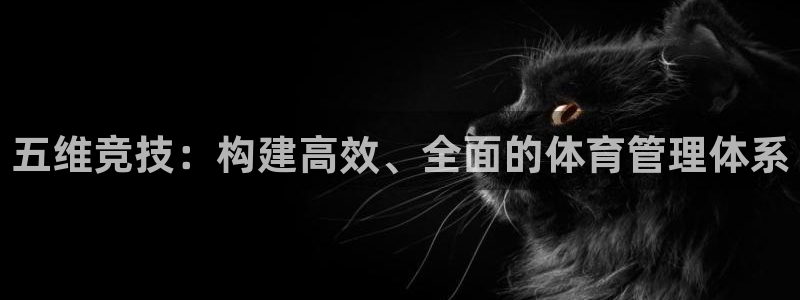 必一体育皮尔斯：五维