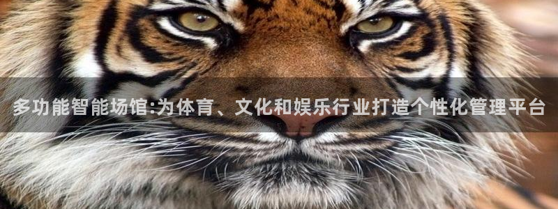 必一体育sport官网：多功能智能场馆:为体育、文化和娱乐行