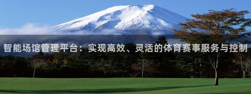 必一运动体育：智能场