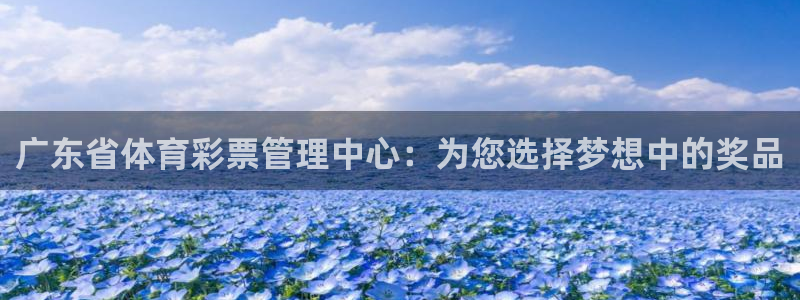 必一体育app官方正