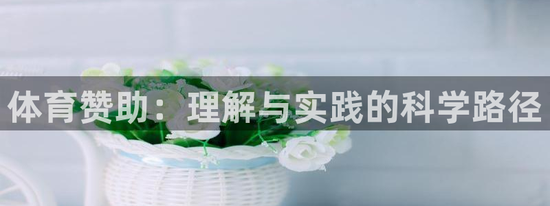 必一体育验证码：体育赞助：理解与实践的科学路径