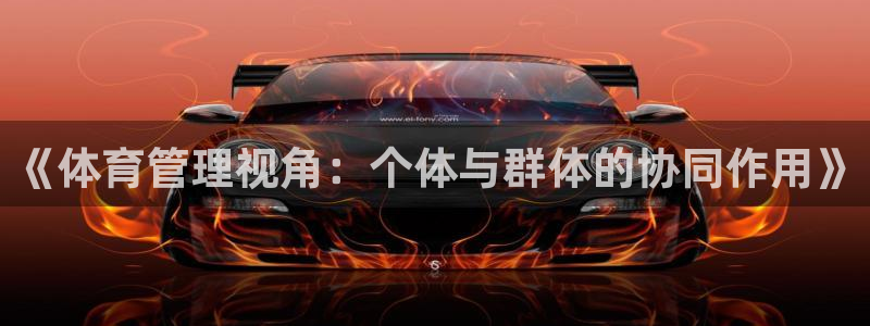 必一体育官网网址：《