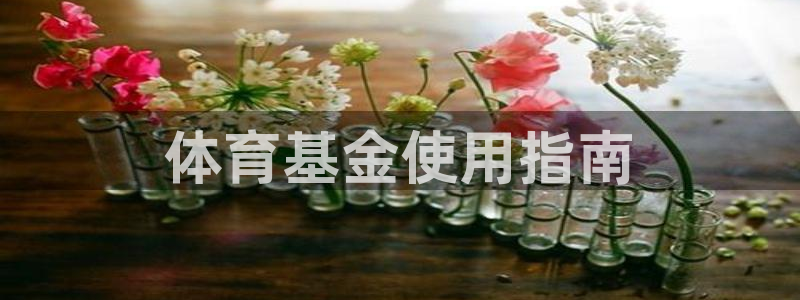 必一体育网页版登录：