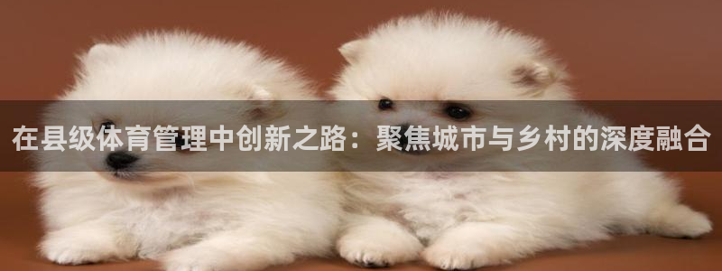 必一体育黑钱：在县级体育管理中创新之路：聚焦城市与乡村的深度