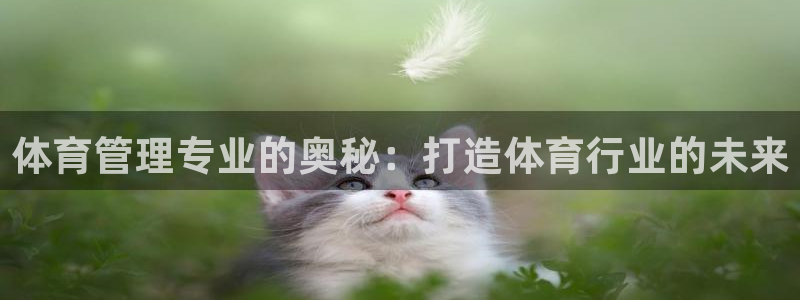 必一体育在线登录