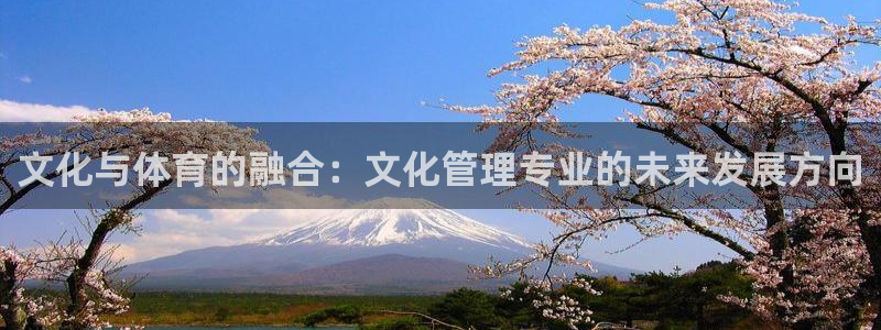 必一运动sport爱查股：文化与体育的融合：文化管理专业的未