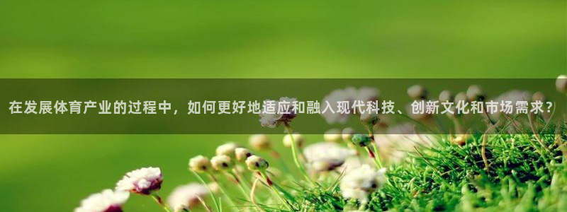 必一体育游戏特色：在发展体育产业的过程中，如何更好地适应和融