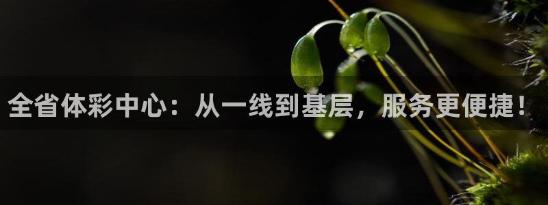 b体育必一下载：全省体彩中心：从一线到基层，服务更便捷！