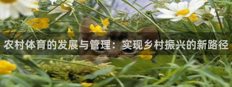 必一体育官方下载：农