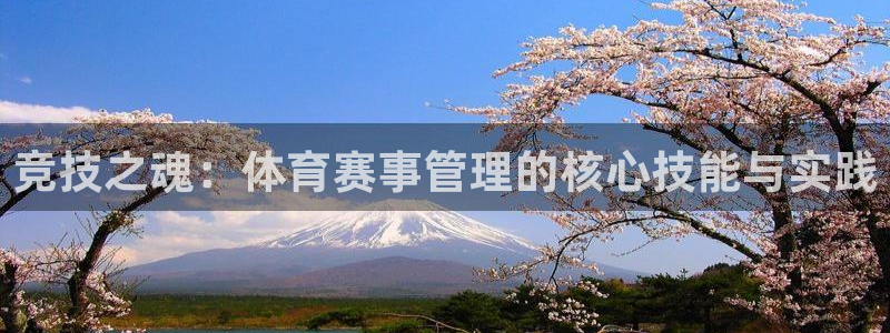 必一体育app平台下