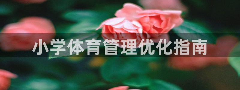 必一体育没了：小学体