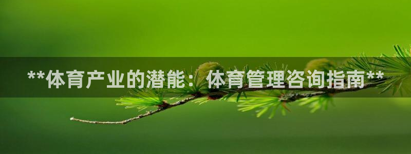 必一体育网址：**体