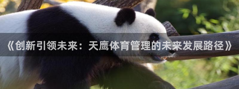 必一体育app平台下