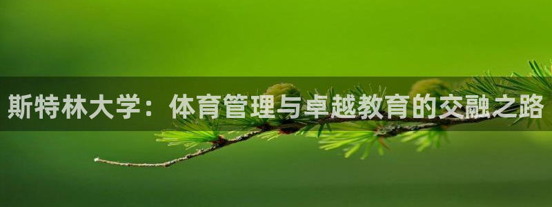 必一体育网站：斯特林