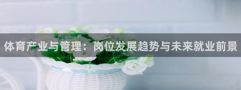 必一体育app下载装