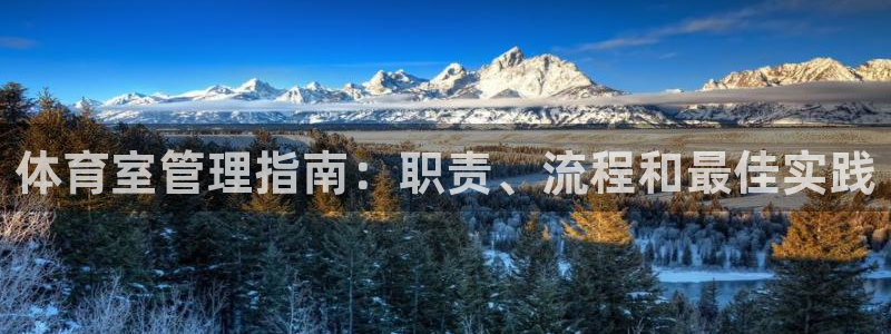 必一体育网页登陆