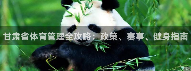 必一体育是哪里的台子