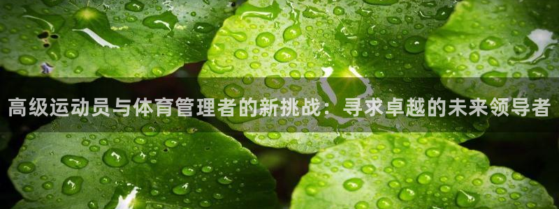 必一体育网页登录版官