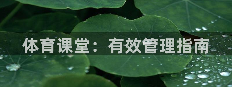 必一体育app下载最新版本