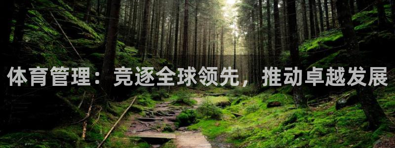 必一体育官方下载：体